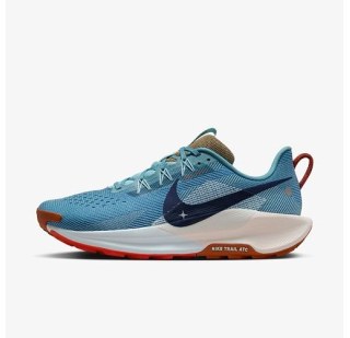 Кросівки Nike React Pegasus Trail DV3864-402