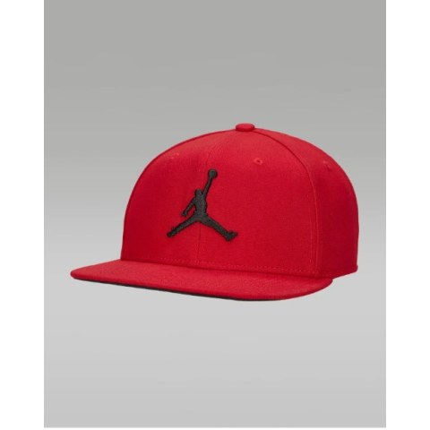 Кепка Jordan Pro FD5184-687_image_1