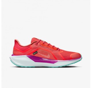 Чоловічі кросівки Nike Pegasus 41 Gore Tex HM8872-600