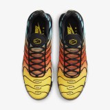 Кроссовки Nike Air Max Plus HV2526-001_image_6