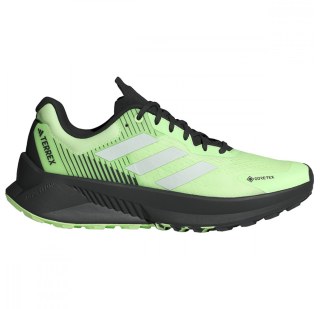 Чоловічі кросівки Adidas Terrex Soulstride Gore-Tex IG8028