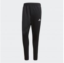 Чоловічі штани Adidas Tan Tr Pnt CD8314_image_10