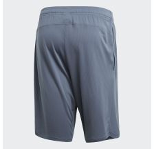 Чоловічі шорти Adidas 4 Krft Sho Chill CE4724