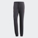 Мужские брюки Adidas Fcb Sgr Sw Pnt CF1772_image_1