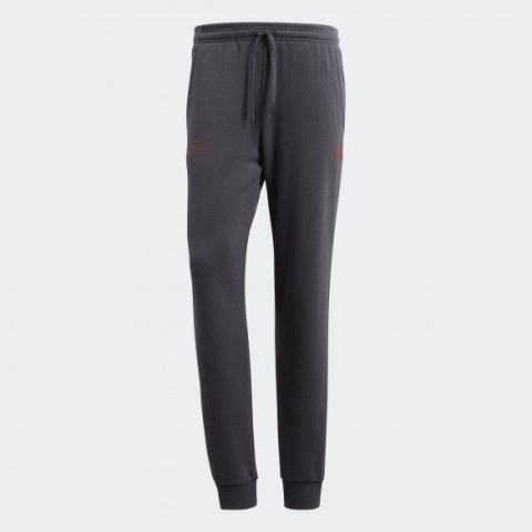 Мужские брюки Adidas Fcb Sgr Sw Pnt CF1772_image_1
