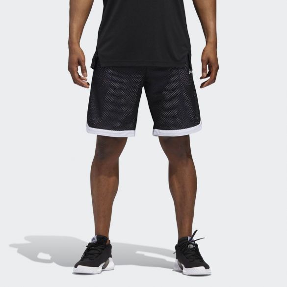 Шорты Adidas Sport Mesh CY8557_image_1