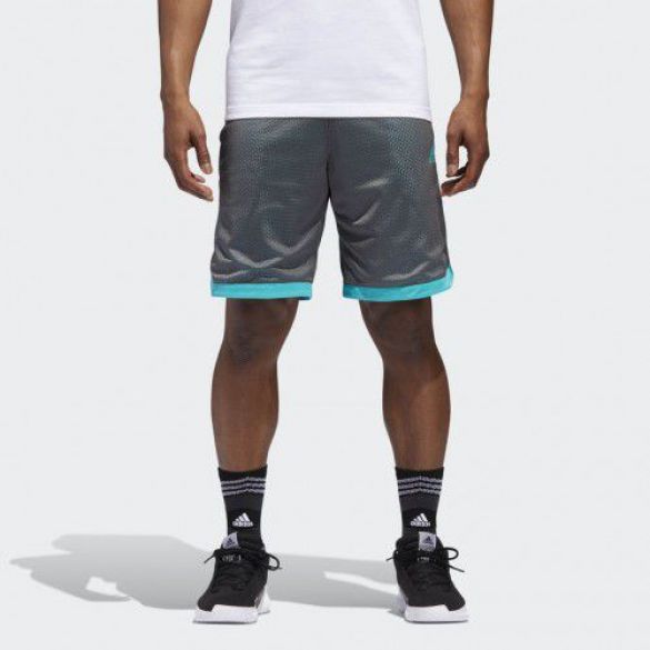 Шорты Adidas Sport Mesh CY8559_image_1