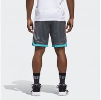 Шорты Adidas Sport Mesh CY8559_image_7