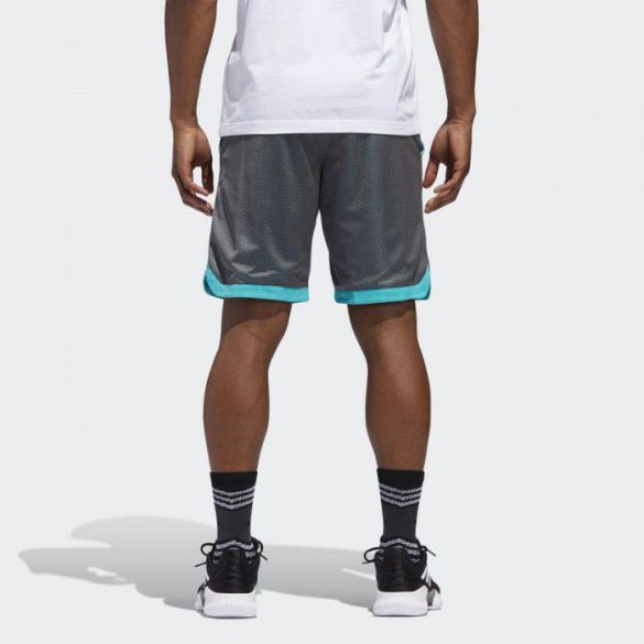 Шорты Adidas Sport Mesh CY8559_image_2