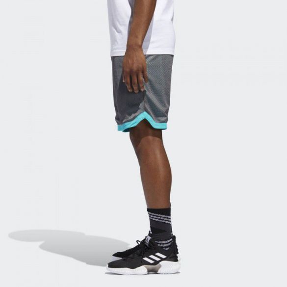 Шорты Adidas Sport Mesh CY8559_image_3