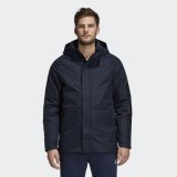 Чоловіча куртка Adidas Xp Loric 30 Stripes CY8623_image_1
