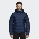 Чоловічий пуховик Adidas Helionic Ho Jkt CZ2311_image_1