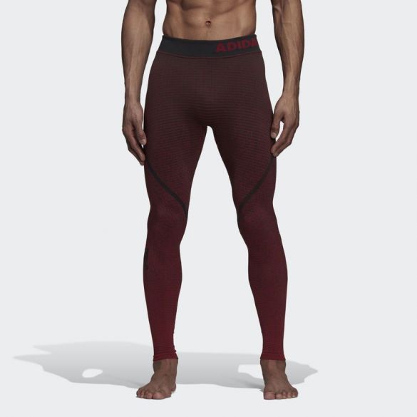 Мужские леггинсы Adidas Alphaskin 360 Climaheat CZ9069_image_1