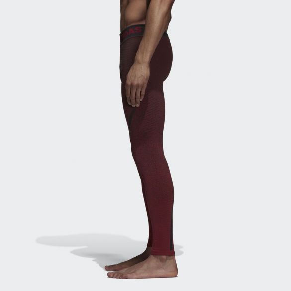 Мужские леггинсы Adidas Alphaskin 360 Climaheat CZ9069_image_2