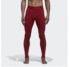 Мужские леггинсы Adidas Alphaskin Sport Climawarm CZ9139