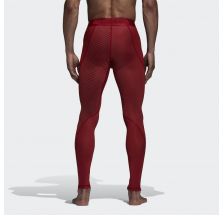 Мужские леггинсы Adidas Alphaskin Sport Climawarm CZ9139