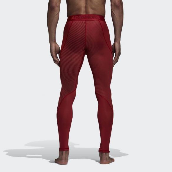 Мужские леггинсы Adidas Alphaskin Sport Climawarm CZ9139_image_2