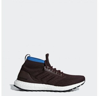 Чоловічі кросівки Adidas UltraBoost All Terrain CM8255