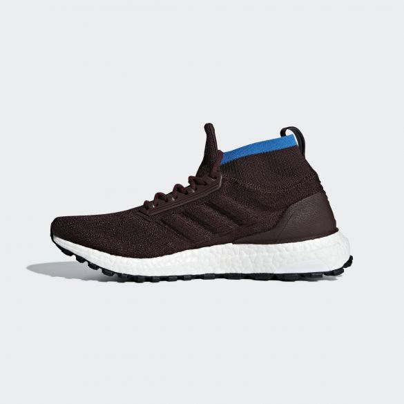 Мужские кроссовки Adidas UltraBoost All Terrain CM8255_image_2