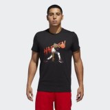 Мужская футболка Adidas Harden Geek Up CW9223_image_1