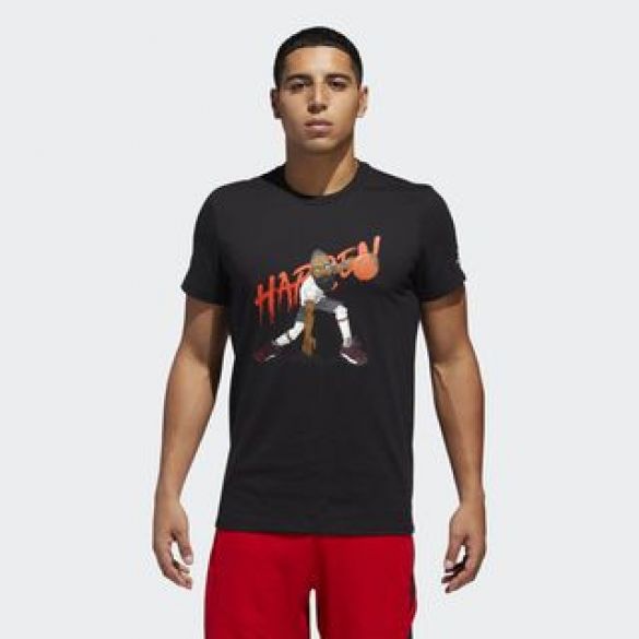 Мужская футболка Adidas Harden Geek Up CW9223_image_1