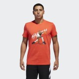 Мужская футболка Adidas Harden Geek Up CW9226_image_1