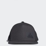 Чоловіча кепка Adidas H90 - Carbon S18 CF4880_image_1