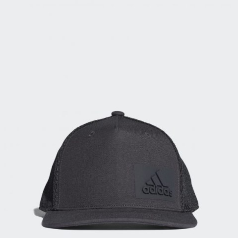 Чоловіча кепка Adidas H90 - Carbon S18 CF4880_image_1