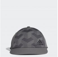 Мужская кепка Adidas S16 CF6189_image_6