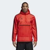 Чоловіча вітровка Adidas Tan Windbreaker CZ3977_image_1