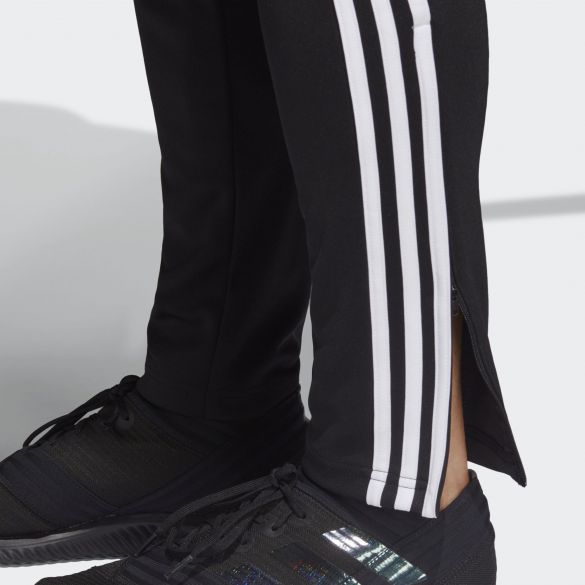 Чоловічі штани Adidas Tan Tr Pnt CZ5560_image_6