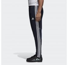 Мужские брюки Adidas Tan Tr Pnt CZ8691