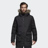 Чоловіча парка Adidas Xploric BS0980_image_1