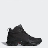 Чоловічі черевики Adidas Terrex FastShell Mid Cp S80792_image_1