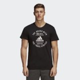 Чоловіча футболка Adidas Emblem DI0283_image_1