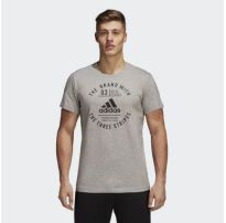 Мужская футболка Adidas Emblem DI0286_image_4