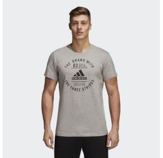 Чоловіча футболка Adidas Emblem DI0286