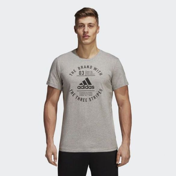 Чоловіча футболка Adidas Emblem DI0286_image_1