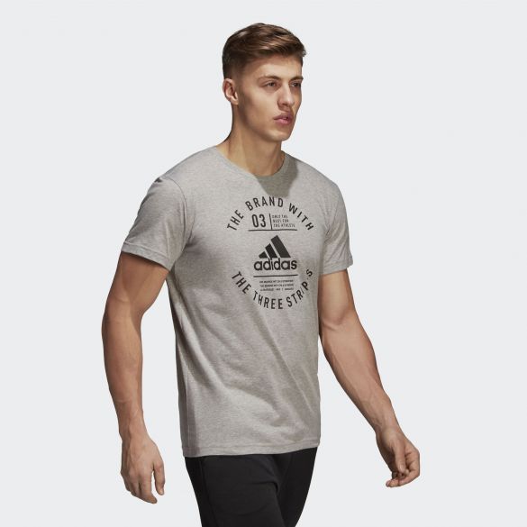 Мужская футболка Adidas Emblem DI0286_image_4