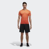 Чоловіча футболка Adidas Freelift Gradi CZ5433_image_1