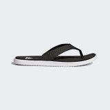 Мужские сланцы Adidas Beachcloud CF BB0505_image_1