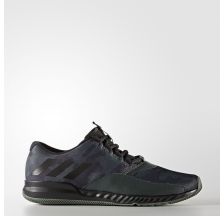 Мужские кроссовки Adidas CrazyTrain Pro TRF M BA9004