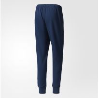 Чоловічі штани Adidas Tiro17 BQ2678_image_2