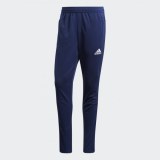 Чоловічі штани Adidas Tiro17 BQ2719_image_1