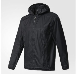 Чоловіча вітровка Adidas Terrex Mistral B45513