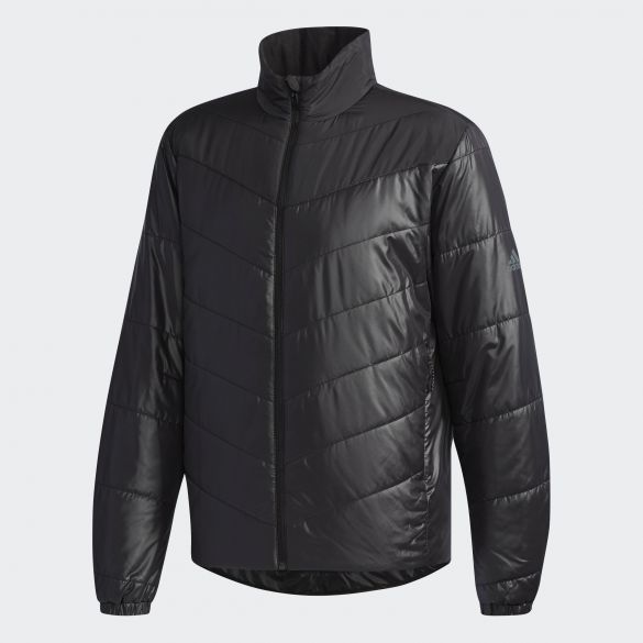 Чоловіча куртка Adidas Cytins Bc Pad J BQ4243_image_1