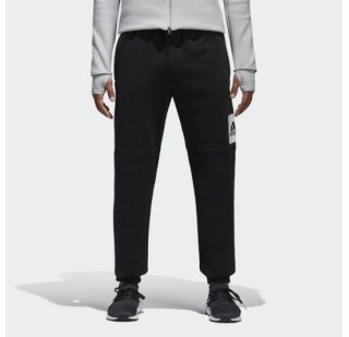 Чоловічі спортивні штани Adidas Ess Bl T Pnt Fl BP5440