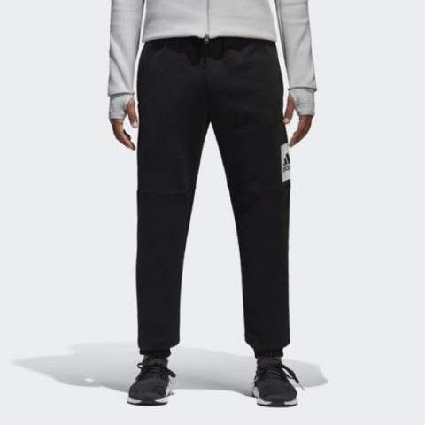 Чоловічі спортивні штани Adidas Ess Bl T Pnt Fl BP5440_image_1