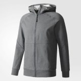 Мужская толстовка Adidas Sweat Hoodie S97825_image_1