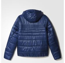 Чоловіча куртка утеплена Adidas Pad Jkt AP9541